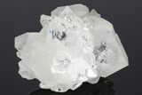 Colorless Apophyllite Crystal Cluster - India #183972-1